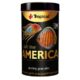 AMERICA M