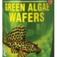 GREEN ALGAE WAFERS