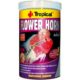 FLOWER HORN ADULT PELLET