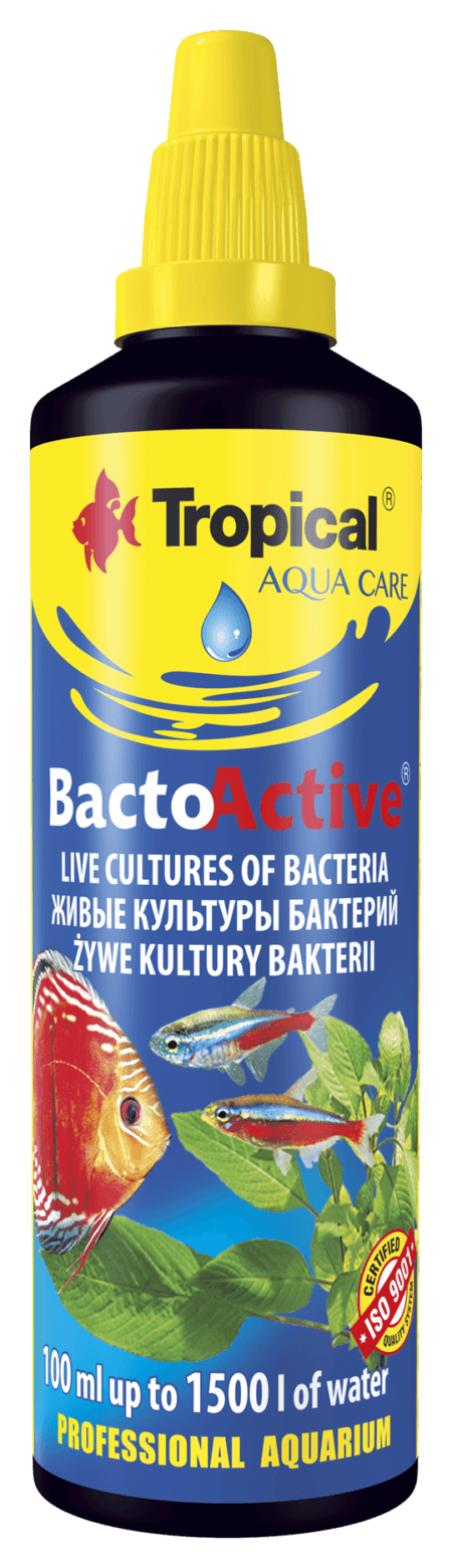 BACTO ACTIVE