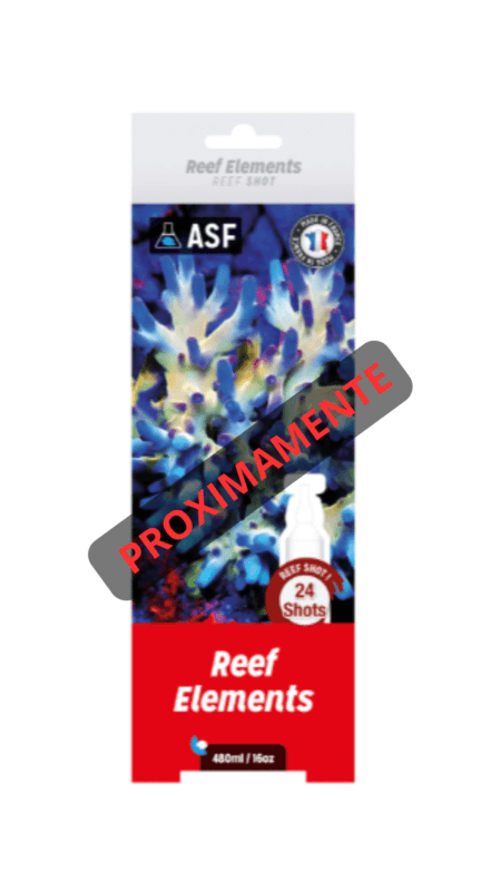 REEF SHOT REEF ELEMENTS