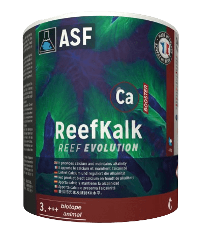 REEF KALK