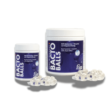 BACTO BALLS