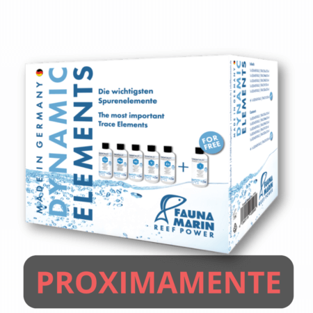 Dynamic Elements