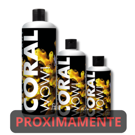 Coral WOW