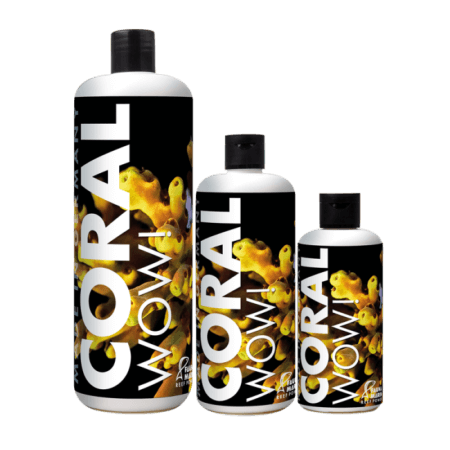 Coral WOW