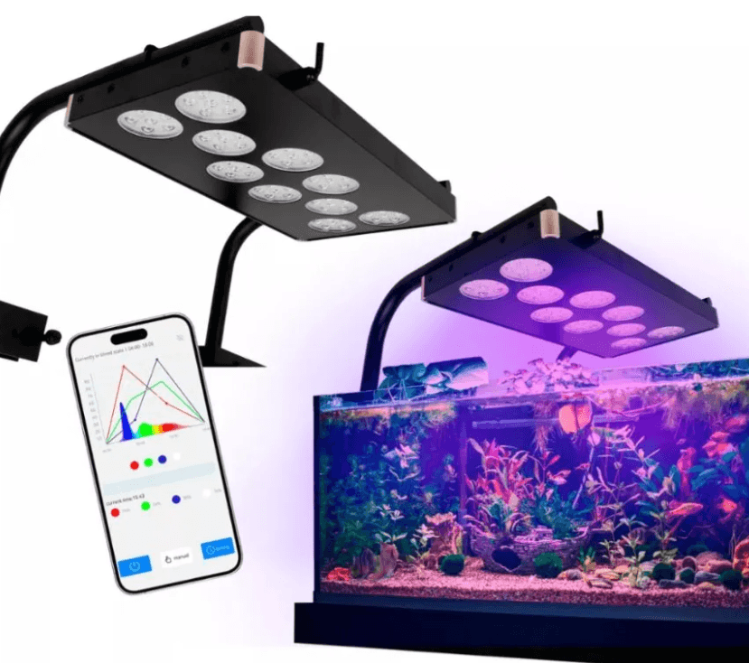 SOLARA PLUS 180W - Image 4